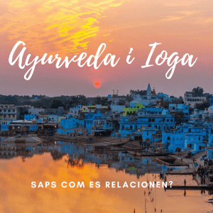 Lee más sobre el artículo Saps quina relació tenen l’Ayurveda i el Ioga?