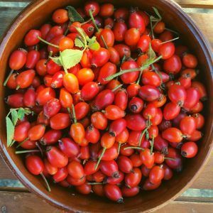 Lee más sobre el artículo Plantes, fruits i flors silvestres comestibles i medicinals. Fitoteràpia Ayurveda, local i sostenible.